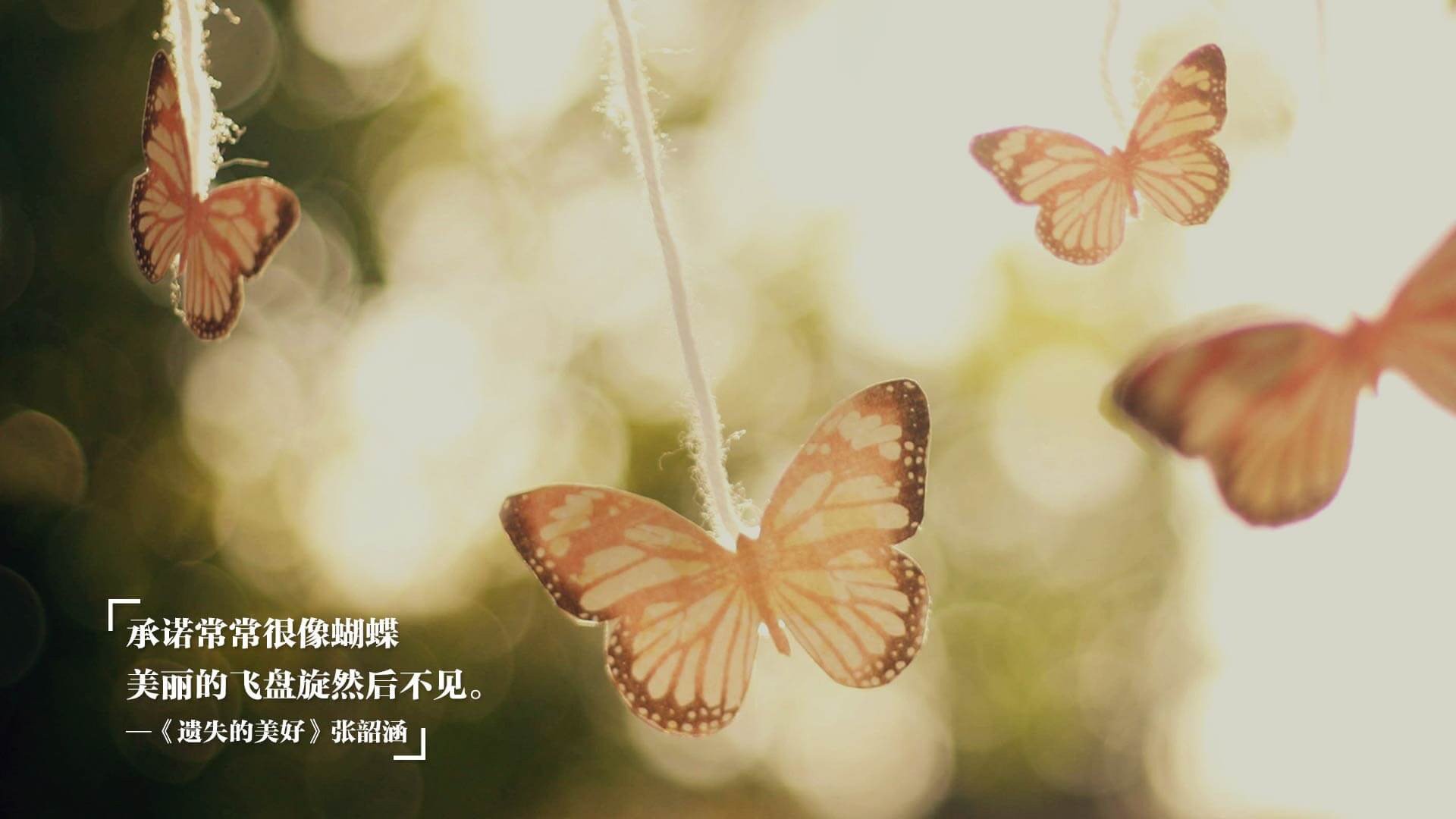 卡迪夫城中场调度清晰，蓝鸟军团志在高飞，卡迪夫蓝调风格是什么车