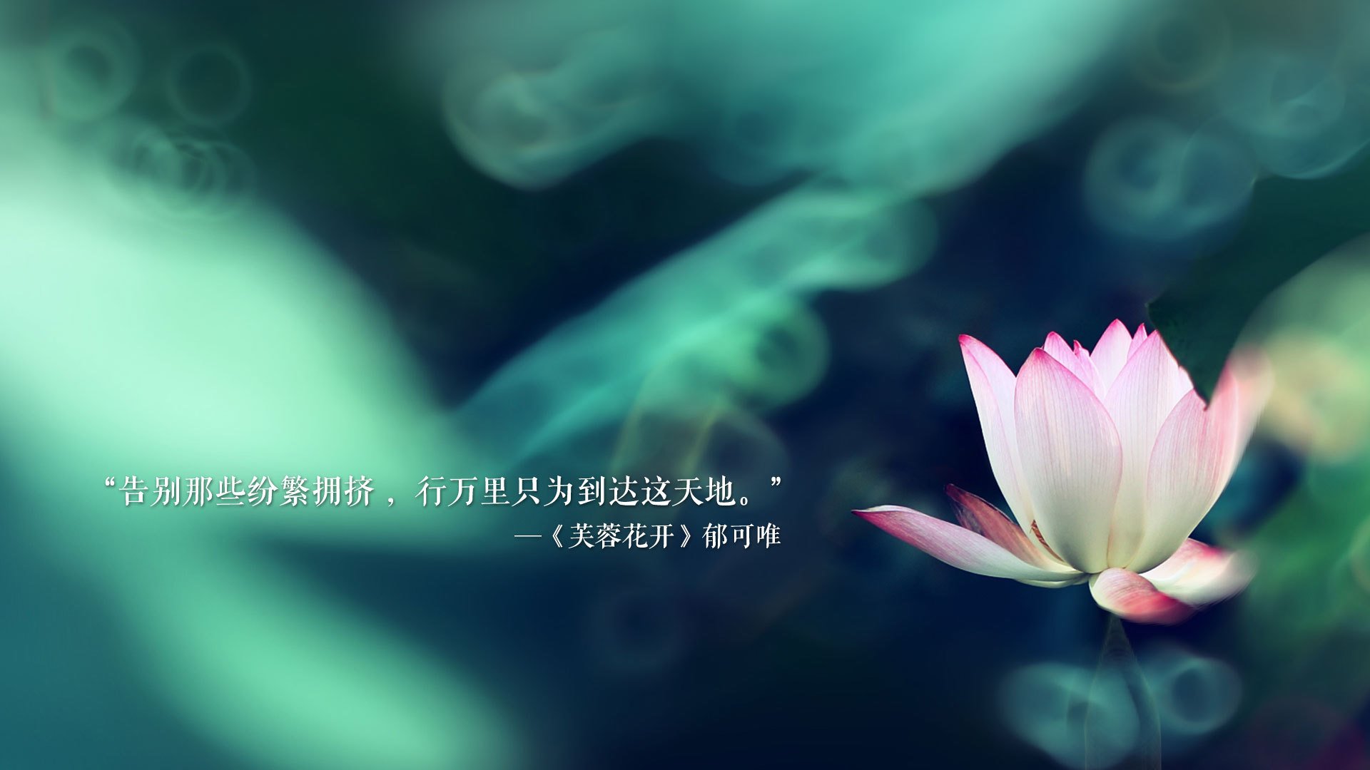 纽伦堡双边路配合撕开对手防线，纽伦堡球场