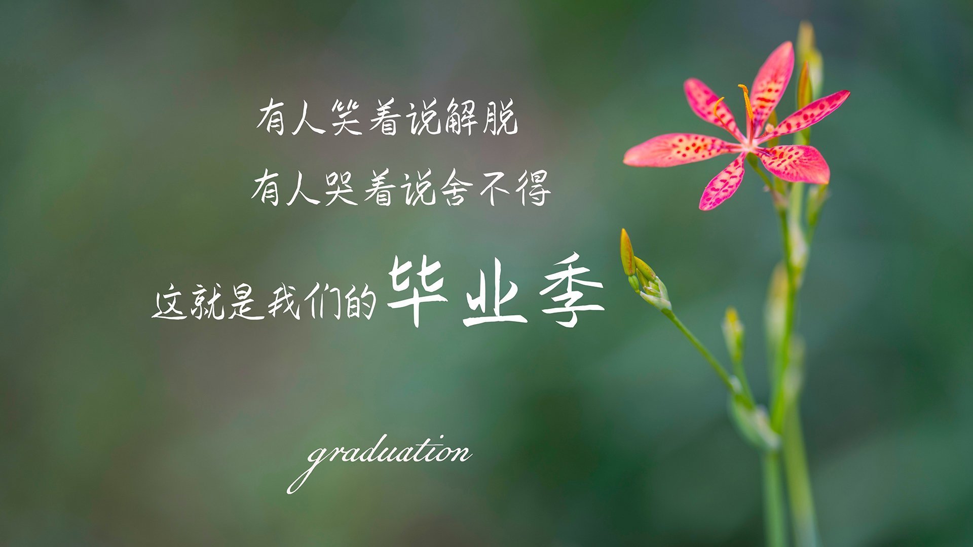 图穆亚展现的突破与传球能力，令袋鼠队进攻如行云流水，穆图什么水平