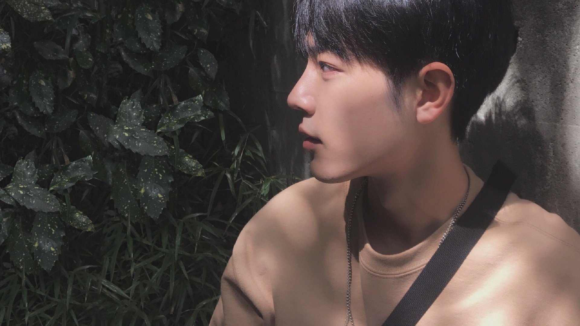 陈芋汐跳台动作细腻赛场焦点，陈芋汐参加什么比赛