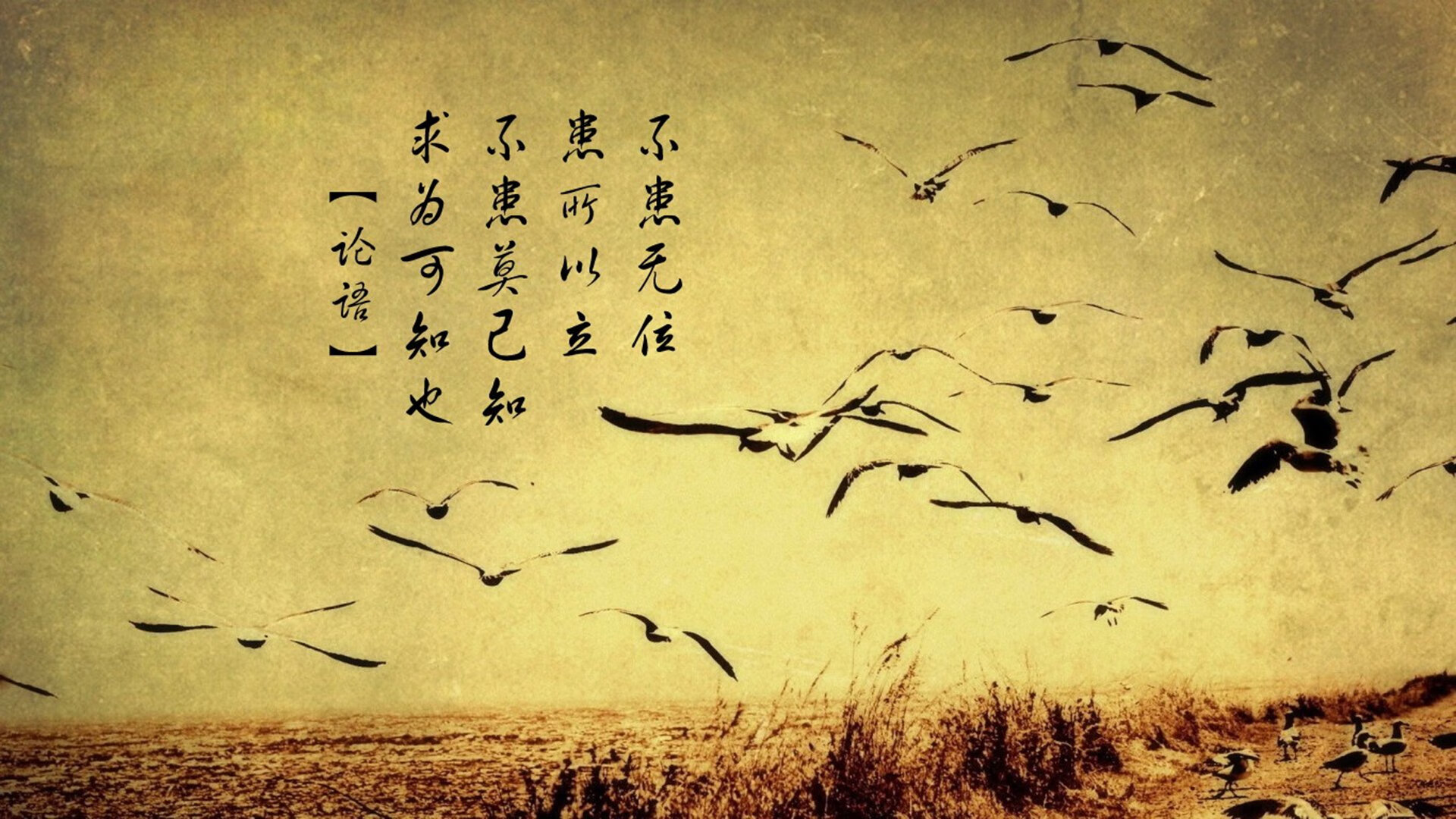 IM体育官方网站-马德里德比火爆进行，皇马力压马竞登顶，马德里竞技vs皇马